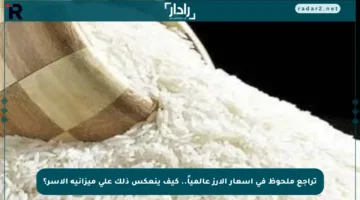 تراجع ملحوظ في أسعار الأرز عالمياً.. كيف ينعكس ذلك على ميزانية الأسر؟